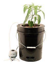Titan Controls Flo N Gro Gro Momma Bubbler Bucket System   dwc grow 