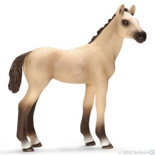 Schleich Animal Figurines   Akhal Teke Foal