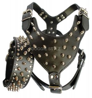 Black Leather Dog Harness & Collar SET spikes studs Pit Bull 26 34 
