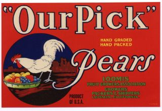 OUR PICK Vintage Loomis, CA Pear Crate Label Chicken