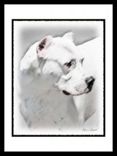 Dogo Argentino Argentinian Note Greeting Cards