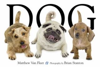 Dog by Matthew Van Fleet 2007, Novelty Book