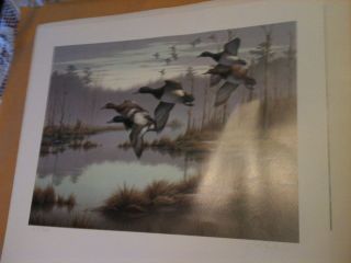 Adele Earnshaw Ducks Unlimited 1994 New Zealand First Stamp Print 