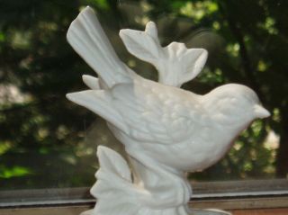 Vintage White Bisque Porcelain BIRD FIGURINE Adorable Mint Feathers 