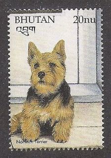 Rare Dog Art Full Body Study Portrait Postage Stamp NORWICH TERRIER 