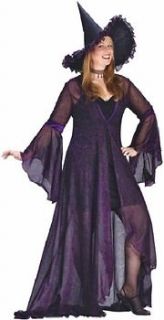Plus Size Rose Shimmer Witch Halloween Holiday Costume Party (Size 