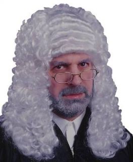 Adults Barrister Judge Lawyer Long Costume Party Wig
