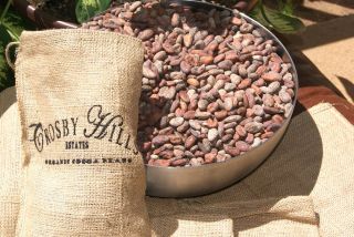 Organic Cocoa/Cacao Beans Trinitarios ( Foods of The Gods ) Whole Bean 