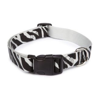 zebra dog collar in Collars & Tags