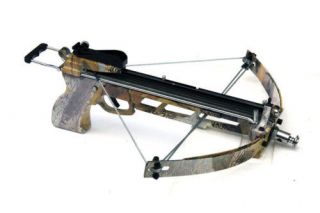 compound crossbows in Crossbows