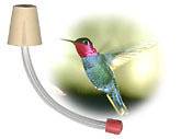 hummingbird feeder tubes in Home & Garden