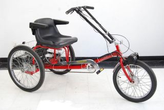 Trifecta Adult Tricycle 21