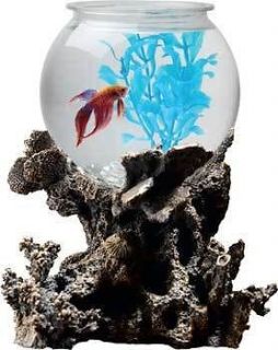   gallon LED Lighting Coral Design Decorative Base Gorgeous Gift NIB