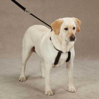 Dog anti pull Harness for gentle training stops difficult pet pulling 