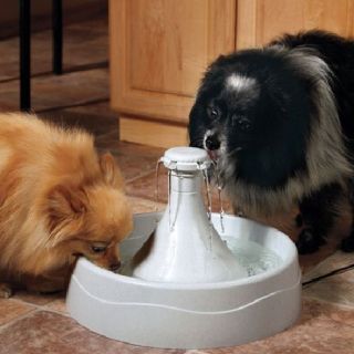 DRINKWELL 360 PET FOUNTAIN CAT AND DOG WATERER