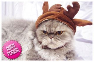 Reindeer Pet Hat for Cat and Dog] Costume / Cap / Christmas 