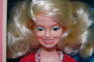 Dolly Parton Doll Still in Original Box by Goldberger 18.