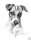 JACK RUSSELL TERRIER Dog Drawing ART NOTE CARDS by DJR