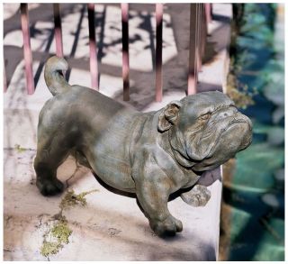 Champ the English Staunch Bulldog Statue Dog Canine Garden Home Decor