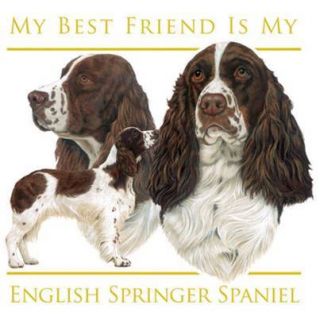 ENGLISH SPRINGER SPANIEL 6 inch Fabric Squares to Quilt