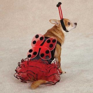 ladybug dog costume in Dog Costumes