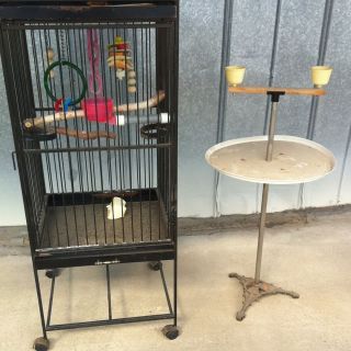used bird cage in Cages