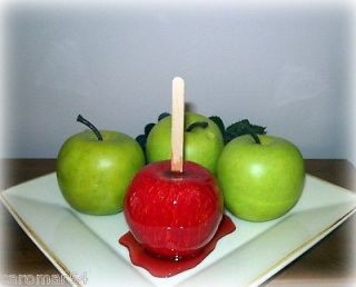 Candy Apple on a Stick Red Delicious Faux Fake FOOD Photo PROP
