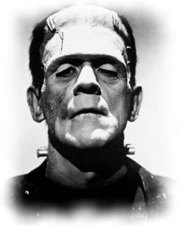 man t shirt Frankenstein MONSTER Nosferatu IGOR horror Marty Feldman 
