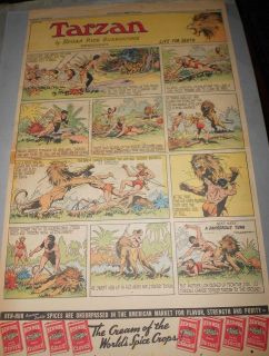 Tarzan Sunday Page by Burne Hogarth from 7/2/1939 Full Page Size 