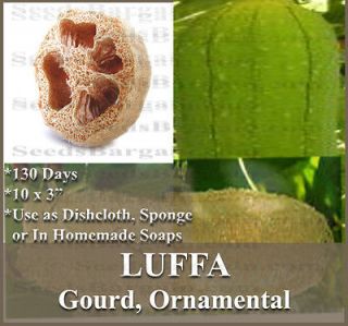 LUFFA Gourd seeds SPONGE LOOFA LOOFAH   SOAP MAKING exfoliators 