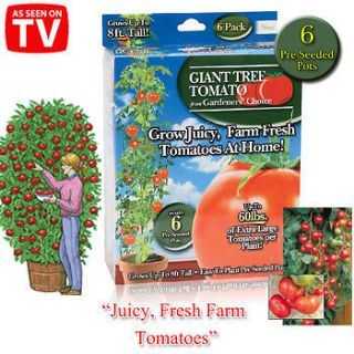   Trees Gardeners Choice As Seen On TV Grow Tomatos at Home Plant