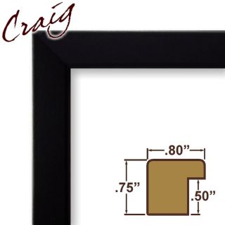 Inch Wide Black Satin Picture Frame Poster Frame Interior Wall 