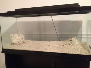 30 gallon fish tank in Aquariums
