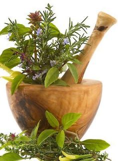 Essential Medicinal & Culinary, Garden/Survival Herb Seed Cache Ready 