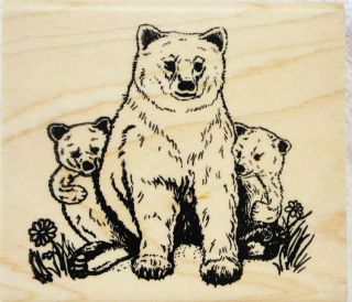 Blue Ridge Impressions rubber stamp Mother Bear Cubs Animals Woods 