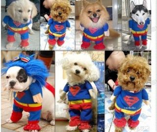 dog costumes in Dog Costumes