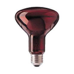 Infrared Heat Lamp Bulb R95e 100W Fits IBP & BOSO