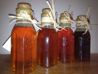 buckwheat honey in Honey, Syrup & Sweeteners