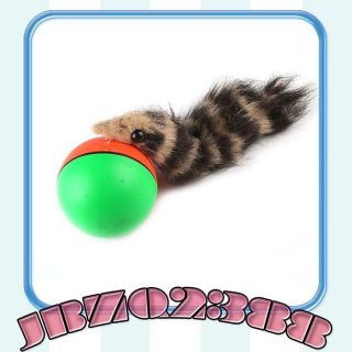 New Chaserball Alive Cat Dog Toy Motorized Weasel Ball