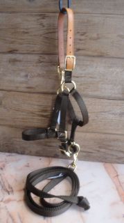 Miniature Donkey or Horse~Breakawa​y Halter with Snap at Crown AND 