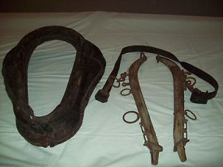 horse collar in Collectibles