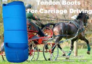 Horse Tendon Boots R Blue : Miniature To Horse Size Ideal For Carriage 