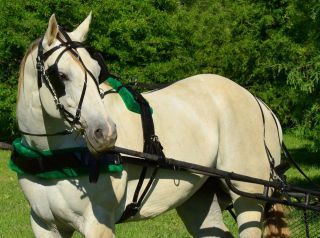   SIZE Solid BLACK Biothane HARNESS & GREEN PAD Driving Horse Harness