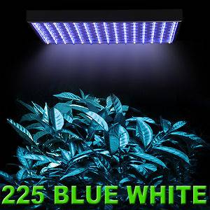 Hydroponic 225 LED Grow Light Panel Blue White 13w 12 Aquarium Coral 