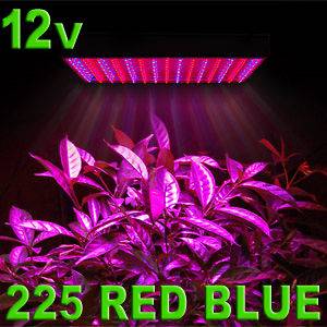   Red Mixed 225 LED Grow Light Panel Indoor Garden Hydroponic Plant Lamp
