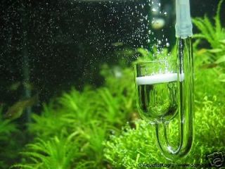 Nano CO2 Diffuser   Live Aquarium Moss Fern Plant Java