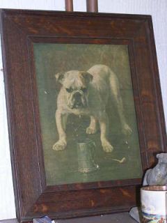 ANTIQUE BULLDOG DOG FRAMED COLOUR PRINT 1910 OLD ENGLISH BULLDOGS 
