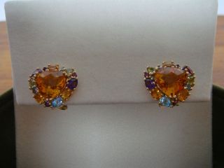   Clemency ~ 14K Gold Multi Gemstone Earrings *Free Gift with Purchase