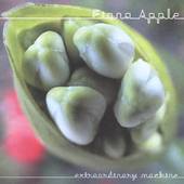 Extraordinary Machine by Fiona Apple (CD, Oct 2005, Epic/Clean Slate)