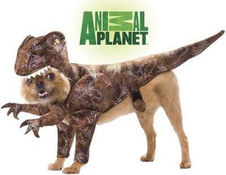 Funny Pet Dog Animal Planet Raptor Dinosaur Halloween Costume M